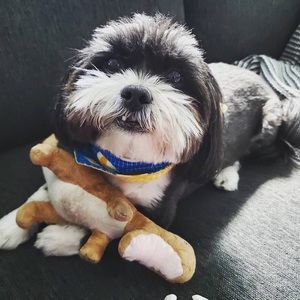 Meet your Posher, Jeri